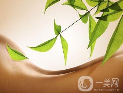光亮子脫毛價(jià)格 光亮子脫毛多少錢？