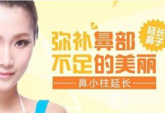 廣東鼻小柱延長(zhǎng)費(fèi)用需要多少