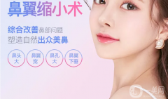 鼻翼縮小手術(shù)價(jià)格一般是多少？