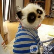 射頻去黑眼圈貴嗎？