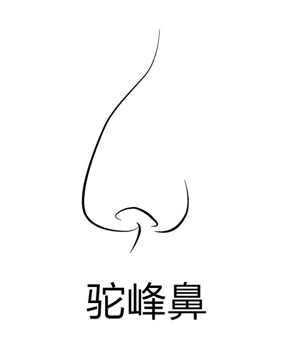 駝峰鼻矯正整形價(jià)格