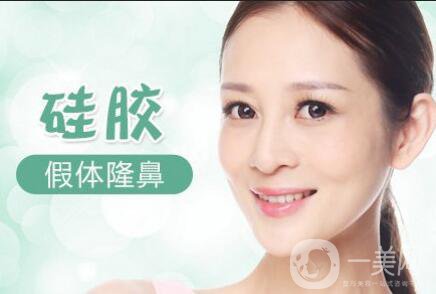 假體隆鼻價格