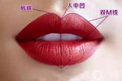 弓形唇與仰月唇區(qū)別是什么
