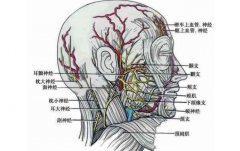 面部纖維溶解手術(shù)有風險嗎？