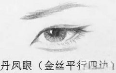 丹鳳眼是什么樣兒的？好看嗎？