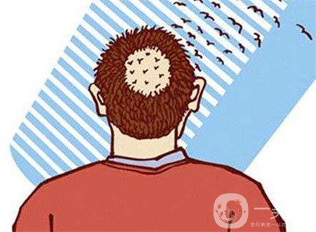 毛發(fā)種植費用大概要多少錢？