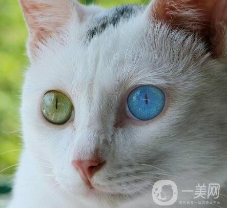 拉雙眼皮的危害是什么？術(shù)后注意事項有哪些？