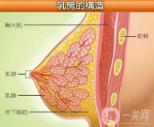 平胸穿衣顯高級(jí)?機(jī)場(chǎng)更美！醒醒吧集美！胸大才能逆襲女神！