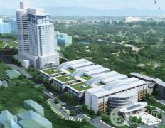 西南醫(yī)院整形外科