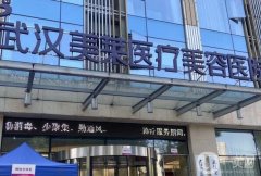 武漢美萊整形醫(yī)療美容醫(yī)院
