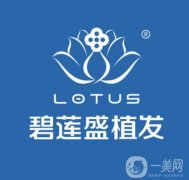 全國(guó)植發(fā)醫(yī)院年度盤(pán)點(diǎn)_還不知道就虧大了