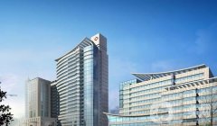 上海長海醫(yī)院整形科