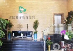 武漢整形做鼻子醫(yī)院？甄選！葉子、卓美誰是你菜？
