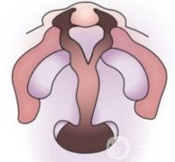 唇腭裂的常規(guī)調(diào)節(jié)過程是怎樣的?修復(fù)要求是什么?