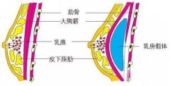 隆胸后懷孕對(duì)身體有影響嗎?可以母乳喂養(yǎng)嗎?