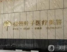 贛州葉子醫(yī)療美容醫(yī)院