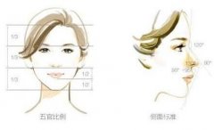 L型假體隆鼻有什么優(yōu)缺點?