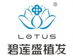 濟南植發(fā)醫(yī)院介紹，碧蓮盛、熙朵、大麥微針等連鎖+科室等王炸出擊！價格翻