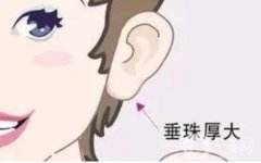豐耳垂的注意事項(xiàng)及好處、壞處？