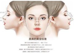 墊鼻基底的原因是什么？如何判斷鼻基底是否需要填充？