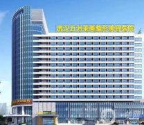 武漢瑞藍認證醫(yī)院信息介紹？介紹前八玻尿酸微整機構(gòu)縱情選擇！