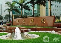 重慶西南醫(yī)院整形外科_簡介