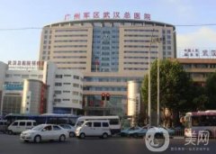 武漢陸軍總醫(yī)院整形科