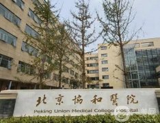 全國(guó)介紹吸脂醫(yī)院都在這了！名單一秒Get！公立私立技術(shù)擅長(zhǎng)不同
