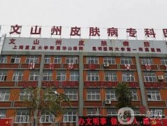 文山州皮膚病防治所