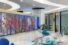 銀川雅美仕口腔診所