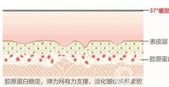 小熱瑪吉和熱瑪吉有什么不同（小熱瑪吉和熱瑪吉的區(qū)別以及如何選擇）