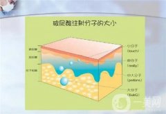 玻尿酸填充臉部可以維持多久