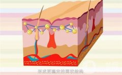 玻尿酸針劑怎么打開