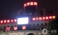 2024大坪醫(yī)院隆鼻價格表公布，附坐診醫(yī)生簡介、技術(shù)實力淺析