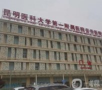 昆明脂肪填充好的醫(yī)院哪個(gè)好？醫(yī)美TOP5榜單查收！韓辰、銅雀臺(tái)技術(shù)領(lǐng)跑