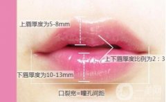 自體脂肪豐嘟嘟唇的效果可以永久嗎？