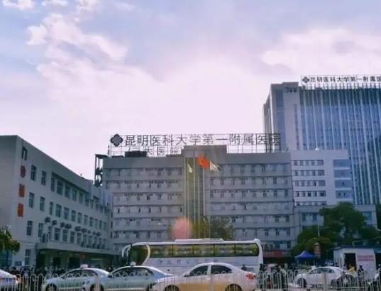 云南省公立整形醫(yī)院排名前十！客觀分析top10優(yōu)劣勢及價格貴不貴！