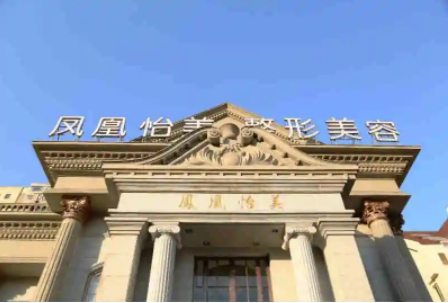 天津鳳凰.jpg